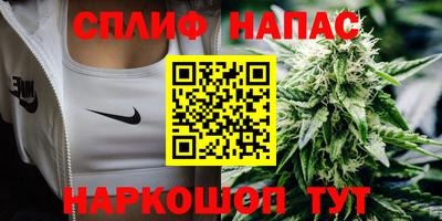 a pvp Гусев