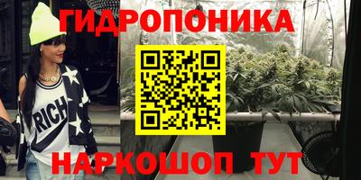 ECSTASY Гусь-Хрустальный
