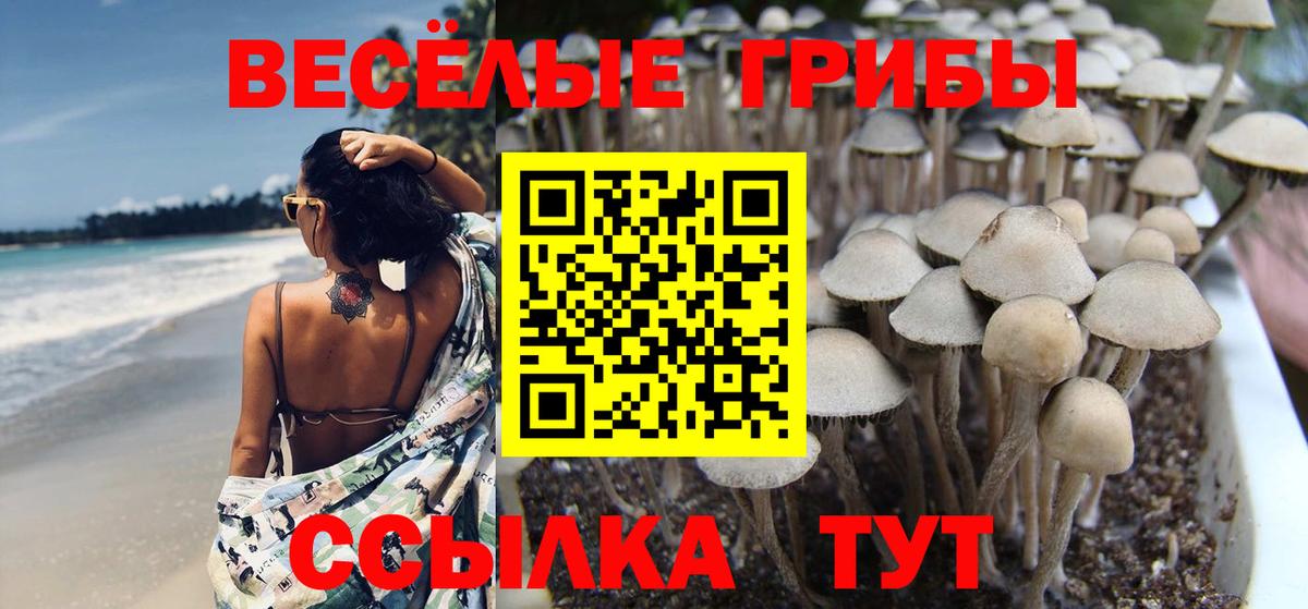 Галлюциногенные грибы мицелий Магнитогорск
