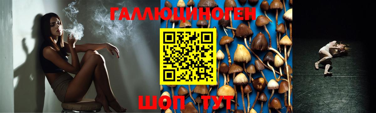 Магнитогорск  как найти закладки  Вход с VPN  Псилоцибиновые грибы MAGIC MUSHROOMS 